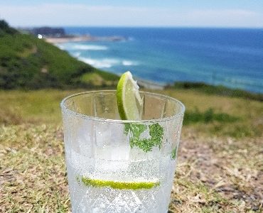 Newy Distillery - Gin, Vodka