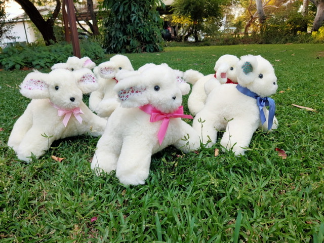 Tambo Teddies - Teddy Bears