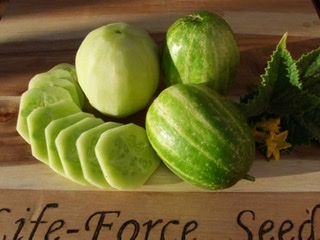 Life-Force Seeds - Seeds Vegetable, Herb & Flower seeds