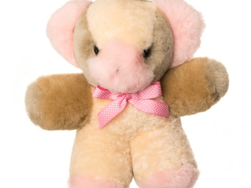 Tambo Teddies - Teddy Bears