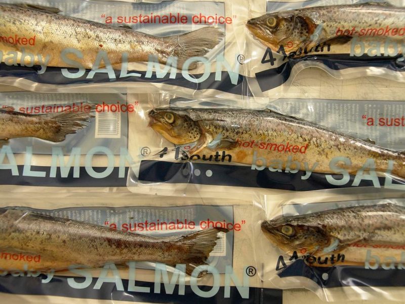 41 Degrees South - Smoked Salmon, Ginseng, Ginseng Tea