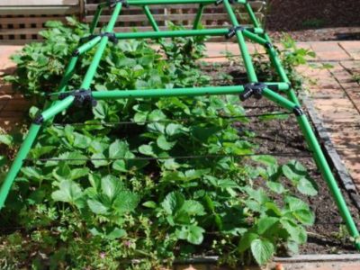 Flexi Garden Frames - Modular Garden Frames