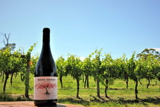 Many Hands Winery - Wine
