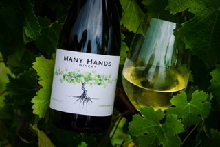 Many Hands Winery - Wine