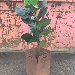 La Tink/Catten Industries - Garden Screens, Light Boxes, Plant Holders, Wreaths