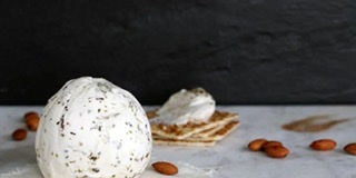 Lauds Plant Based Foods